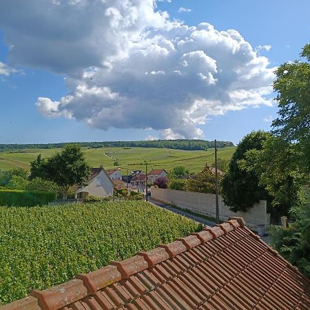 Gite Independant Diz'Enreves Au Coeur Des Vignes Dizy Dış mekan fotoğraf